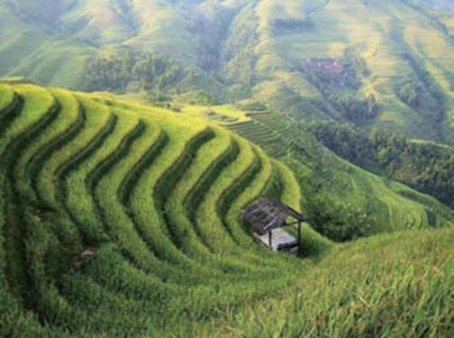 農田排灌、水利領域